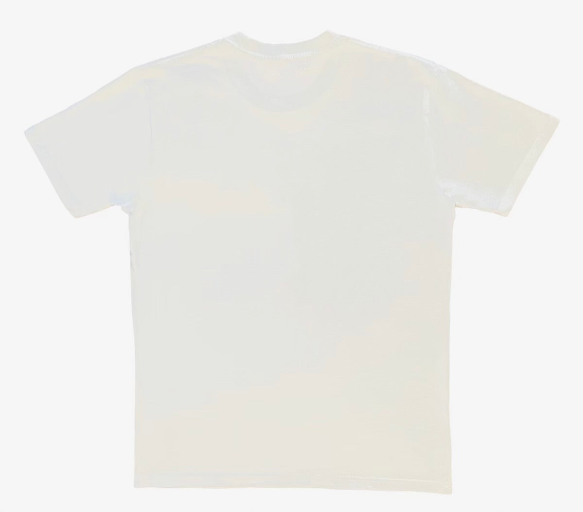 Modern Aspirant T-Shirt